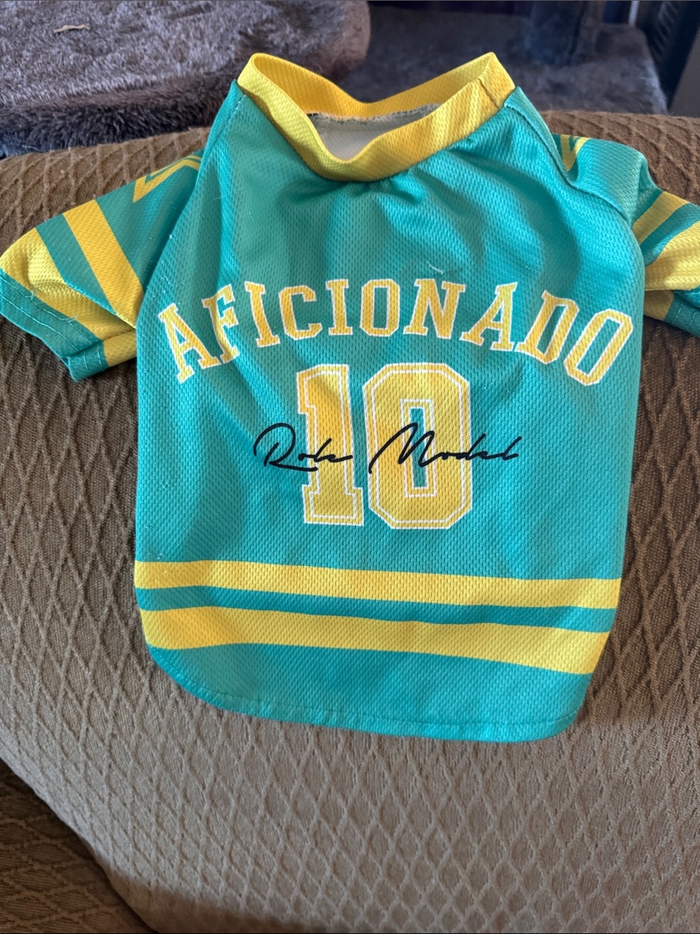 Dogs Teal & Yellow Sports Top